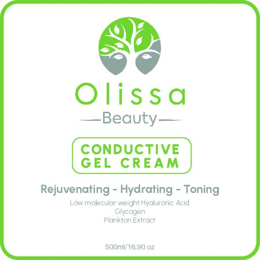 Olissa Beauty Conductive Gel Cream – 500 ml